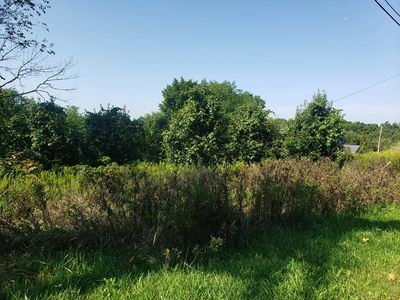 TBD Coventry Road, Valley Grove, WV, 26060