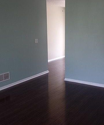 Living Room towards Dining