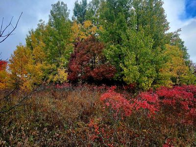 Vl 19 Lakeview Dr, New Era, MI, 49446