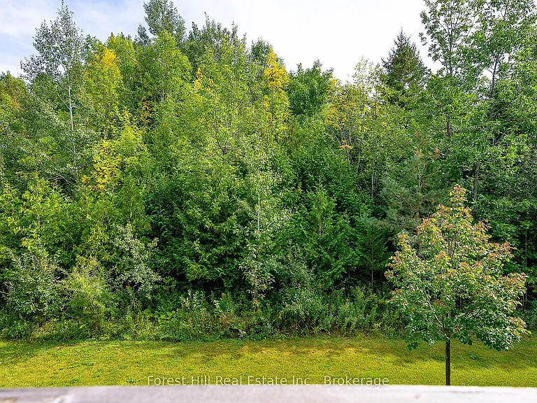 35 Conservation Way — Photo 16
