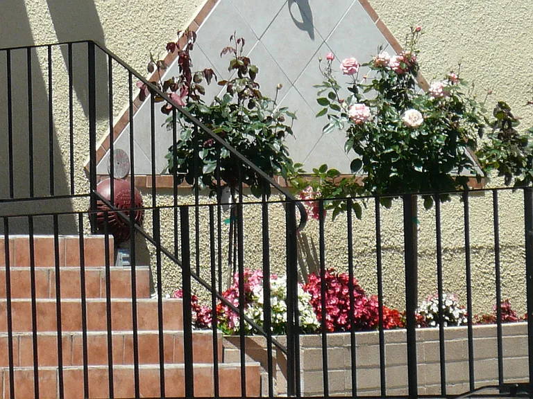 N Gale Dr — Photo 12
