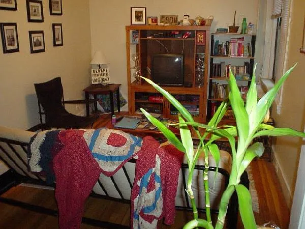 1 bed, 550 sqft, $2,700 — Photo 4