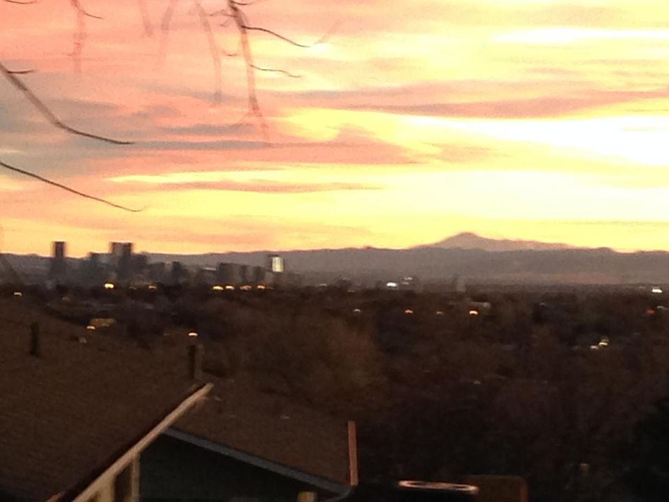 View from your patio and living room window!
