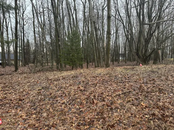 1032 Lincoln Dr, Weidman, MI 48893