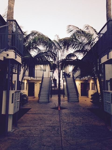 summer evening view of central courtyard showing two buildin