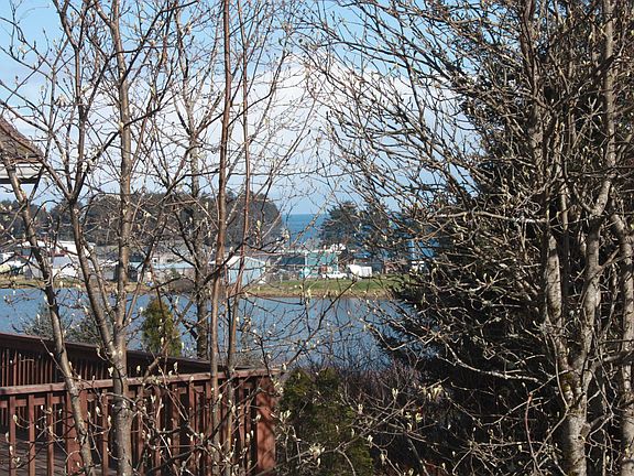 View from family room
