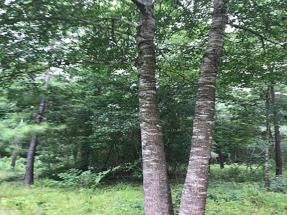 5th image of 26150 Grand Pines Rd