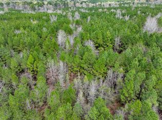 4 Eugene Walker Rd, Huntington, TX 75949