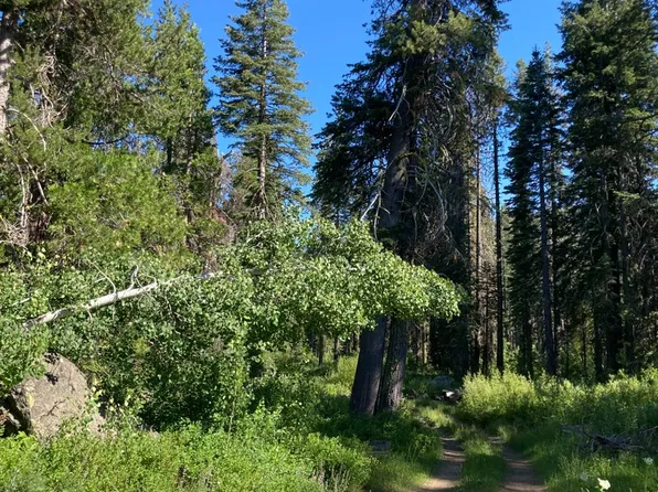 180 Bucks Meadow Dr, Bucks Lake, CA 95971