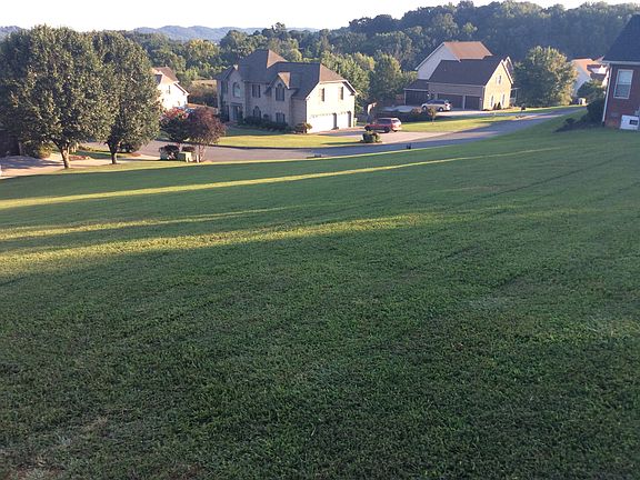 Nice view From top of lot