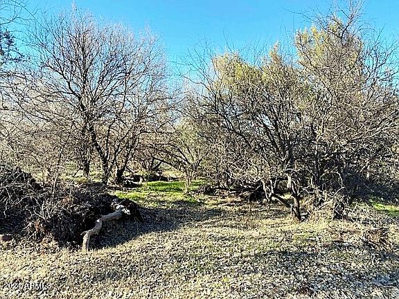 5th image of TBD S Tonto Creek Drive #391-397, 467
