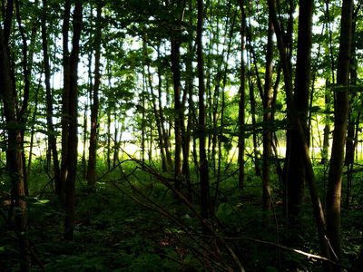 Highway 114, Sherwood, WI, 54169