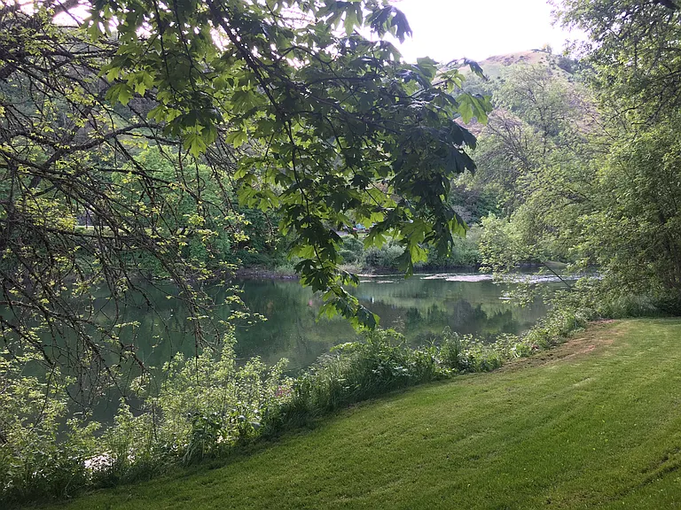 South Umpqua River and the dog park are both within walking distance