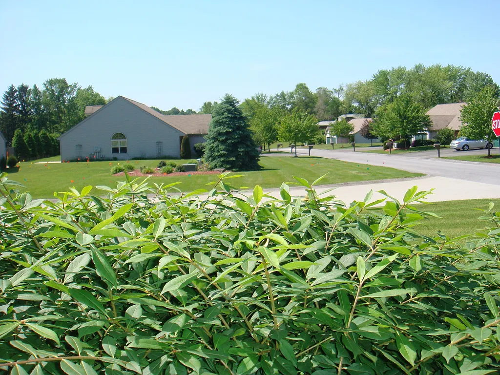 Property photo 4