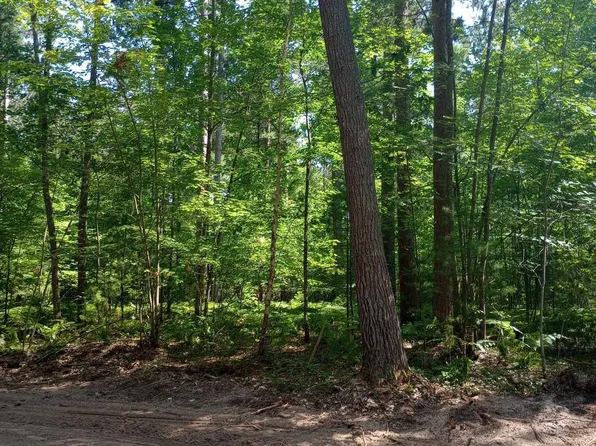 White Pine Lot 6 Way, Marquette, MI 49855