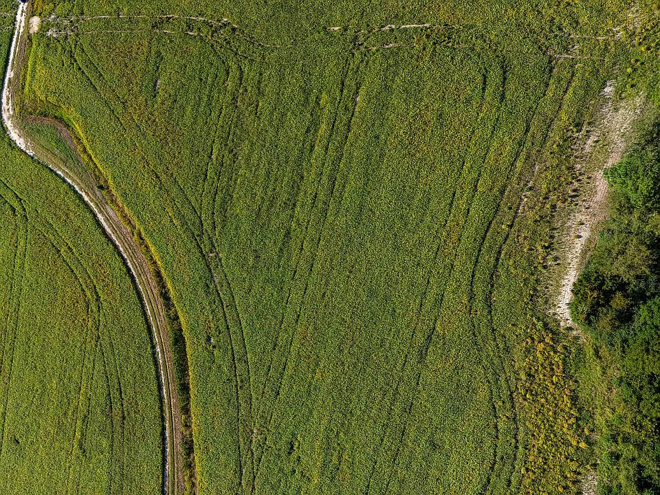 2nd image of Tract 3 Bethlehem Church Road