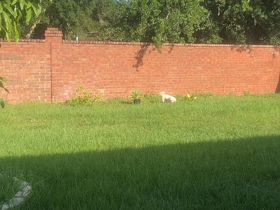 4th image of 4460 Spring Blossom Dr