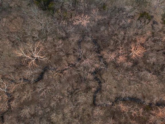 3rd image of 15017 Botkin Rd