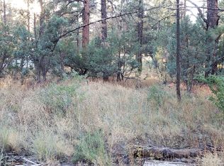 2964 Teddy Bear Trl, Overgaard, AZ 85933