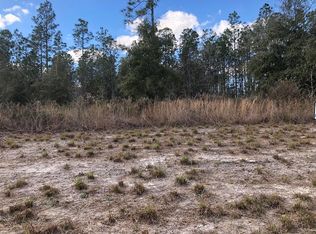 6321 NW 15th Ave, Bell, FL 32619
