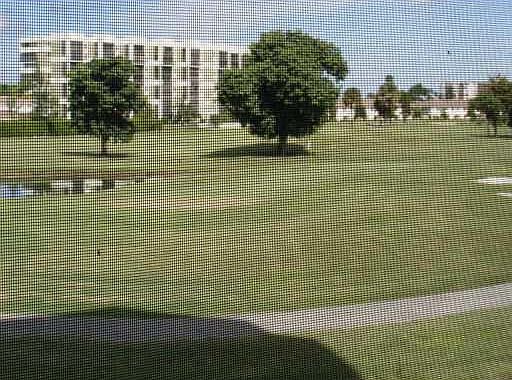 4th image of 6921 Environ Boulevard #20