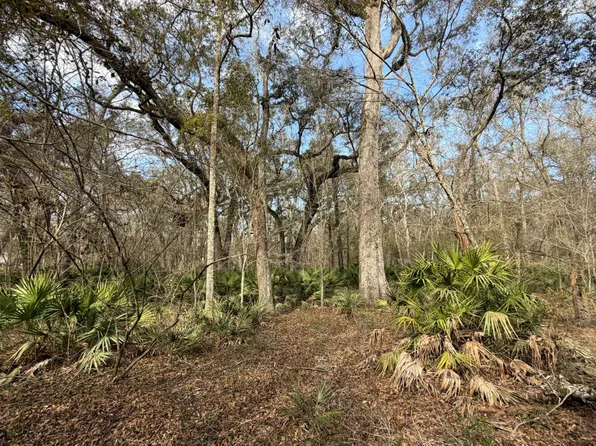 292nd St Lot 14, Branford, FL 32008