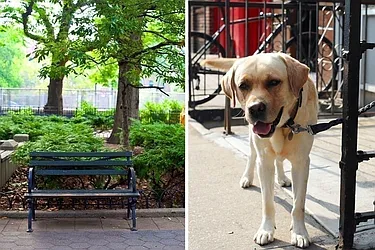 Rented by R New York