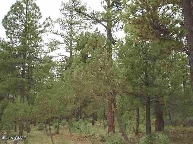 1st image of 4338 Pioneer Ln Lot 28K