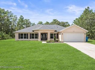 15491 Scaup Duck Ave, Weeki Wachee, FL 34614