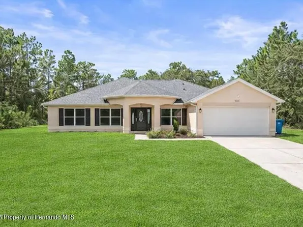 15491 Scaup Duck Ave, Weeki Wachee, FL 34614