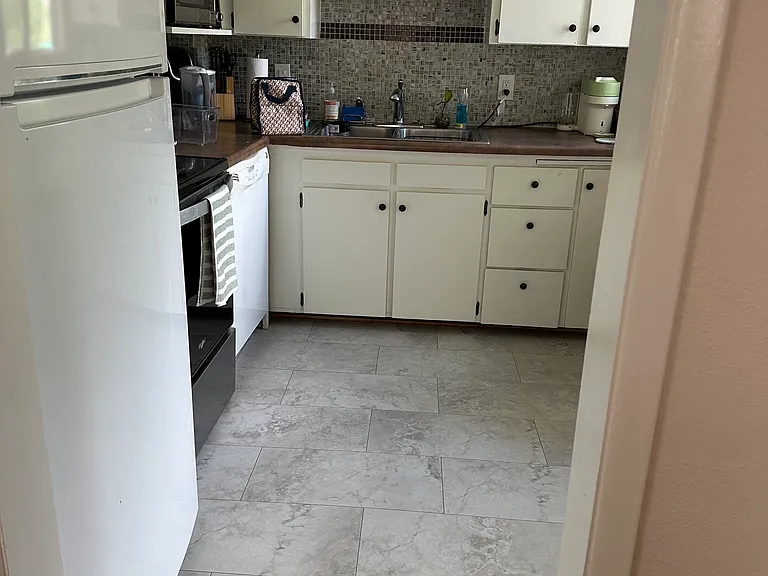 Kitchen (Dishwasher and Fridge now stainless)