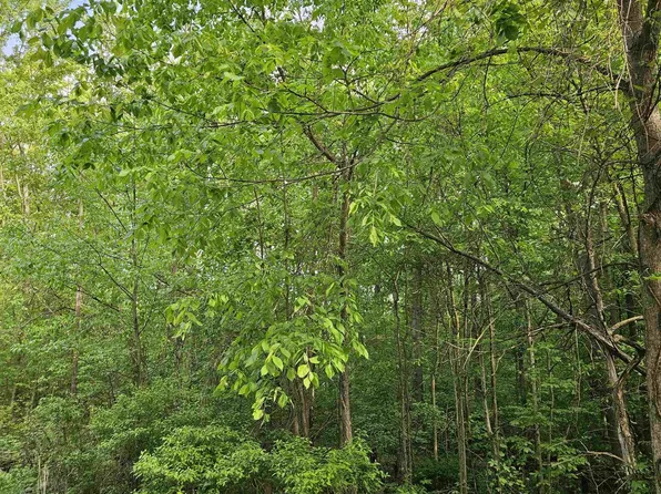 0 Lindsey Rd, East China, MI 48054