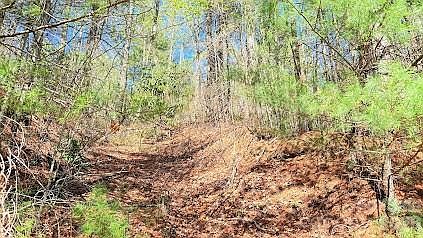 3rd image of 0 Jeter Mountain Rd