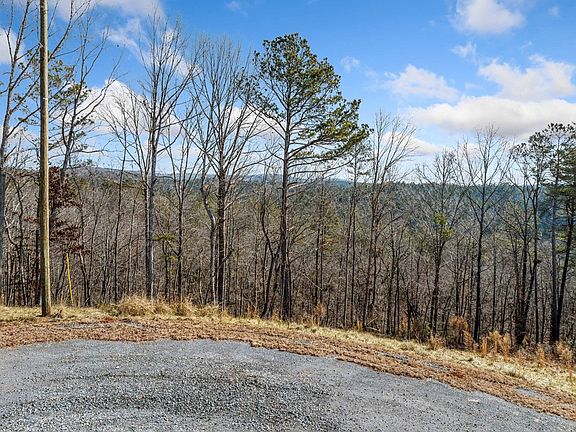 5th image of 198 Blalock Mountain Ct
