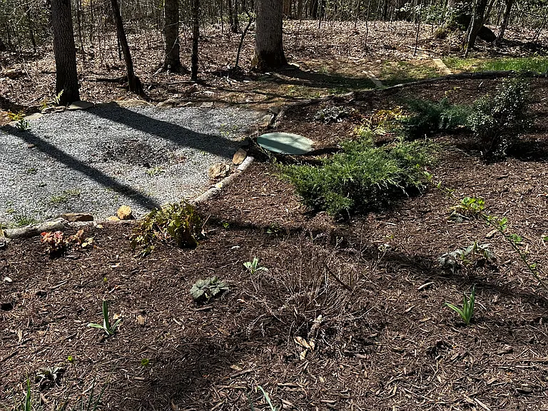 Julian Hts — Photo 27