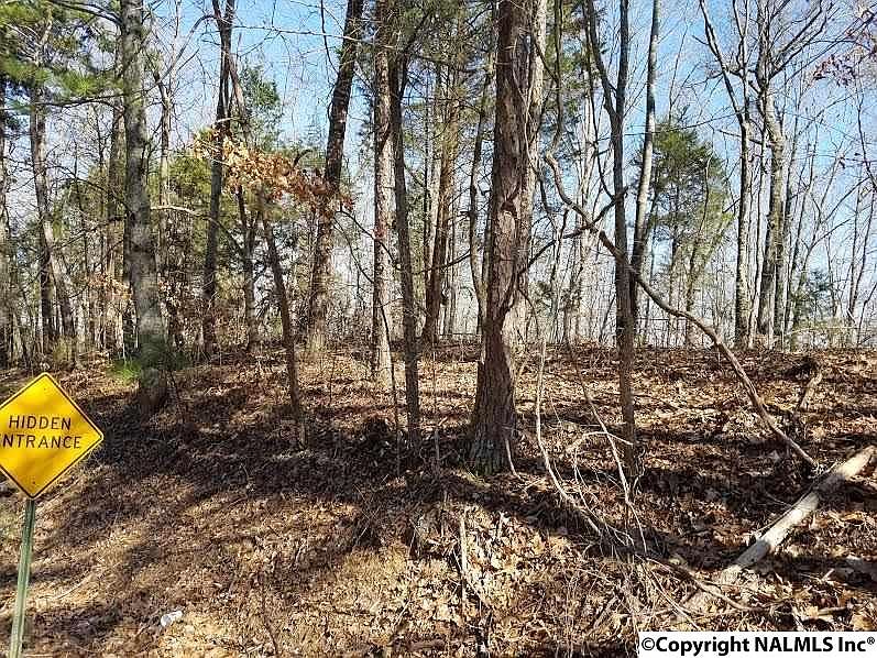 1 Cardessa Ln, Grant, AL 35747 MLS 1084702 Zillow