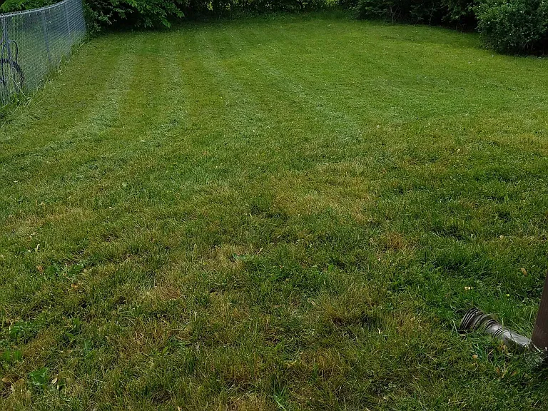 515 N Hagadorn Rd — Photo 12