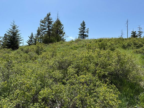 26th image of 3774C Daisy Mine Rd