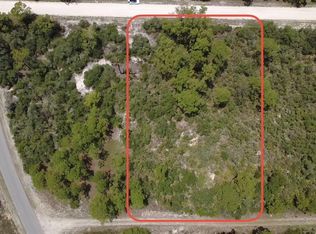 346 Blue Moon Ave Lot 20, Lake Placid, FL 33852