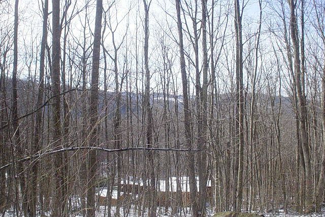 2nd image of 123 S Hickory Ln