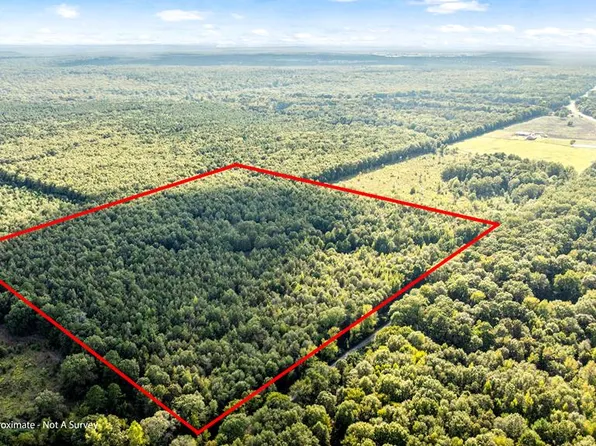 1155 County Road 4153, Simms, TX 75574