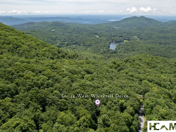 14 W Whitetail Drive, Sapphire, NC 28774