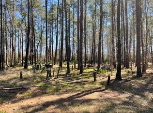 0 Backfield Rd, Walterboro, SC 29488