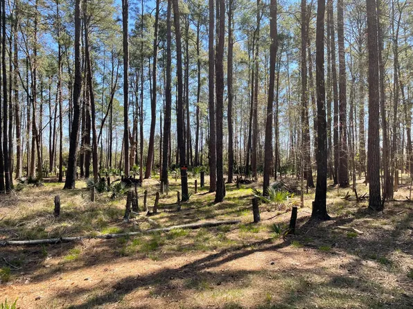 0 Backfield Rd, Walterboro, SC 29488