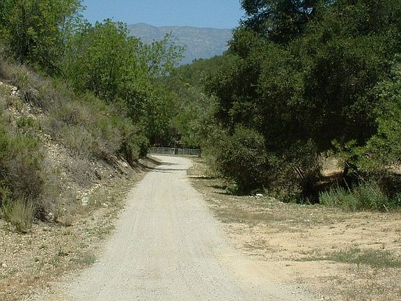 Down Your Own Quiet Country Road