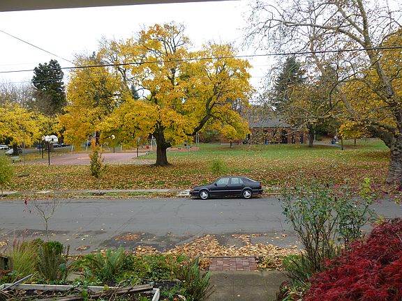 view from front porch