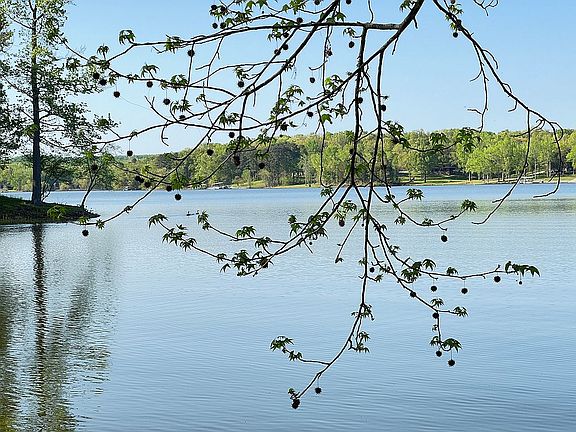 Kentucky Lake/TN River view