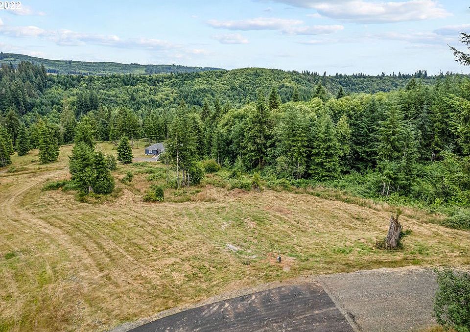 2nd image of 3 Bison Run