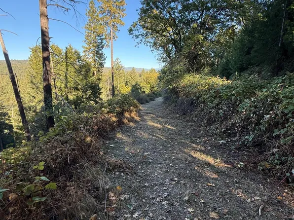 4220 Tree Ln, Wilseyville, CA 95257