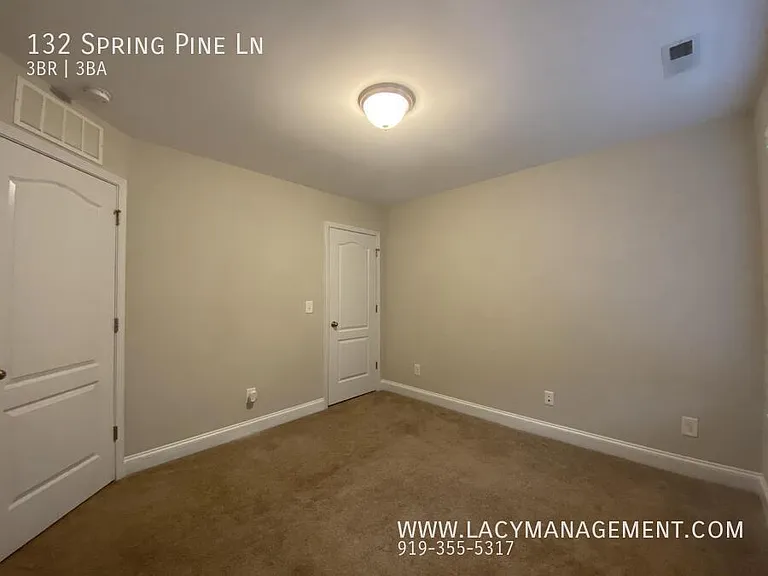132 Spring Pine Ln — Photo 18